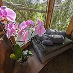 Magical Treehouse