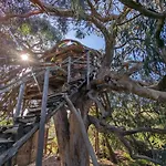 Magical Treehouse