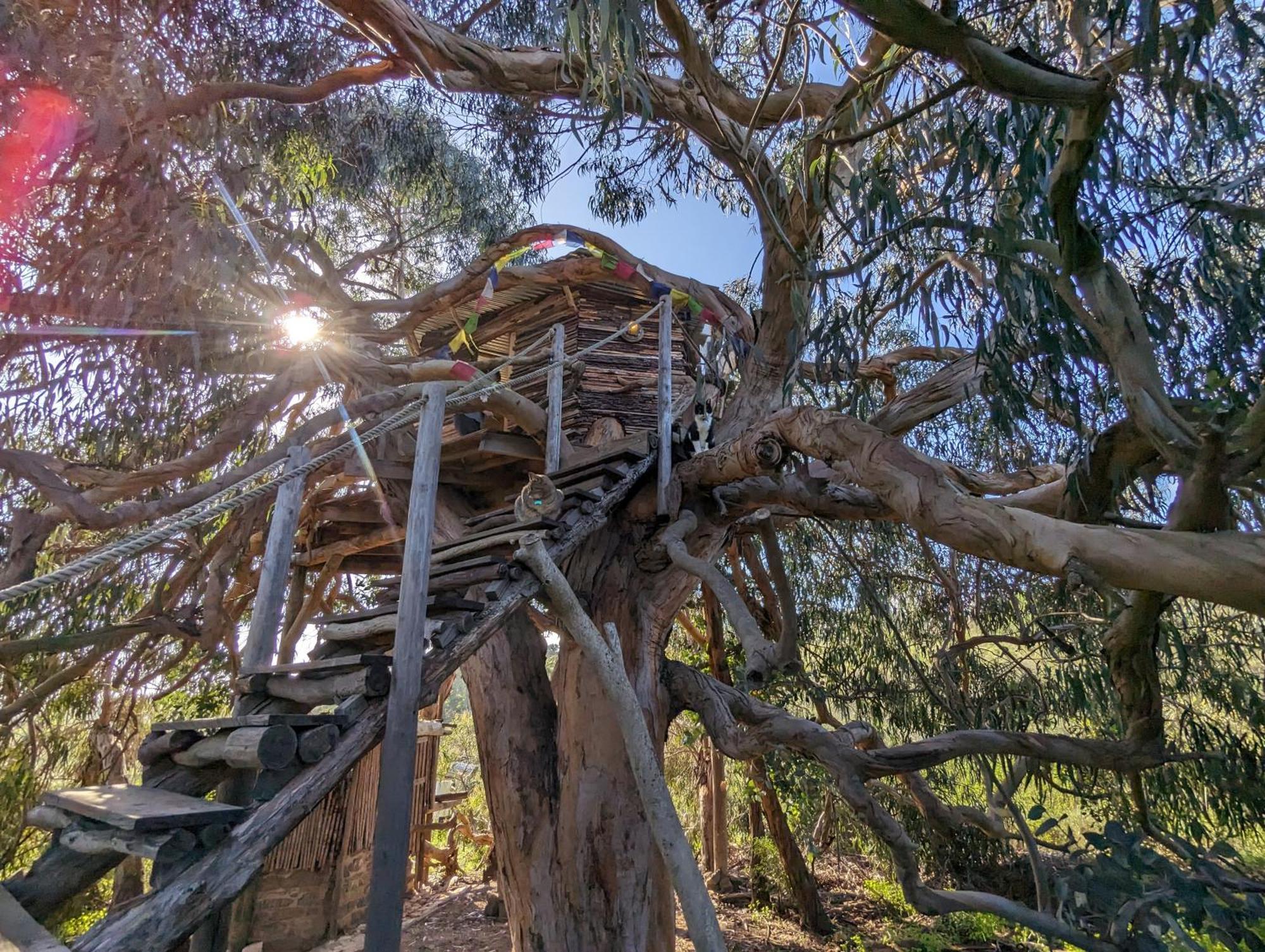 Magical Treehouse Lagos