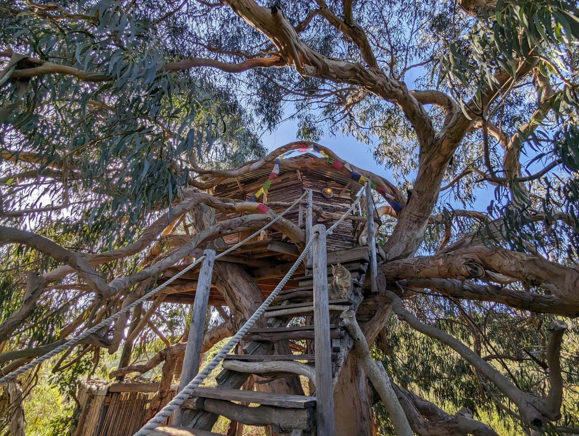 Magical Treehouse Luxury tent