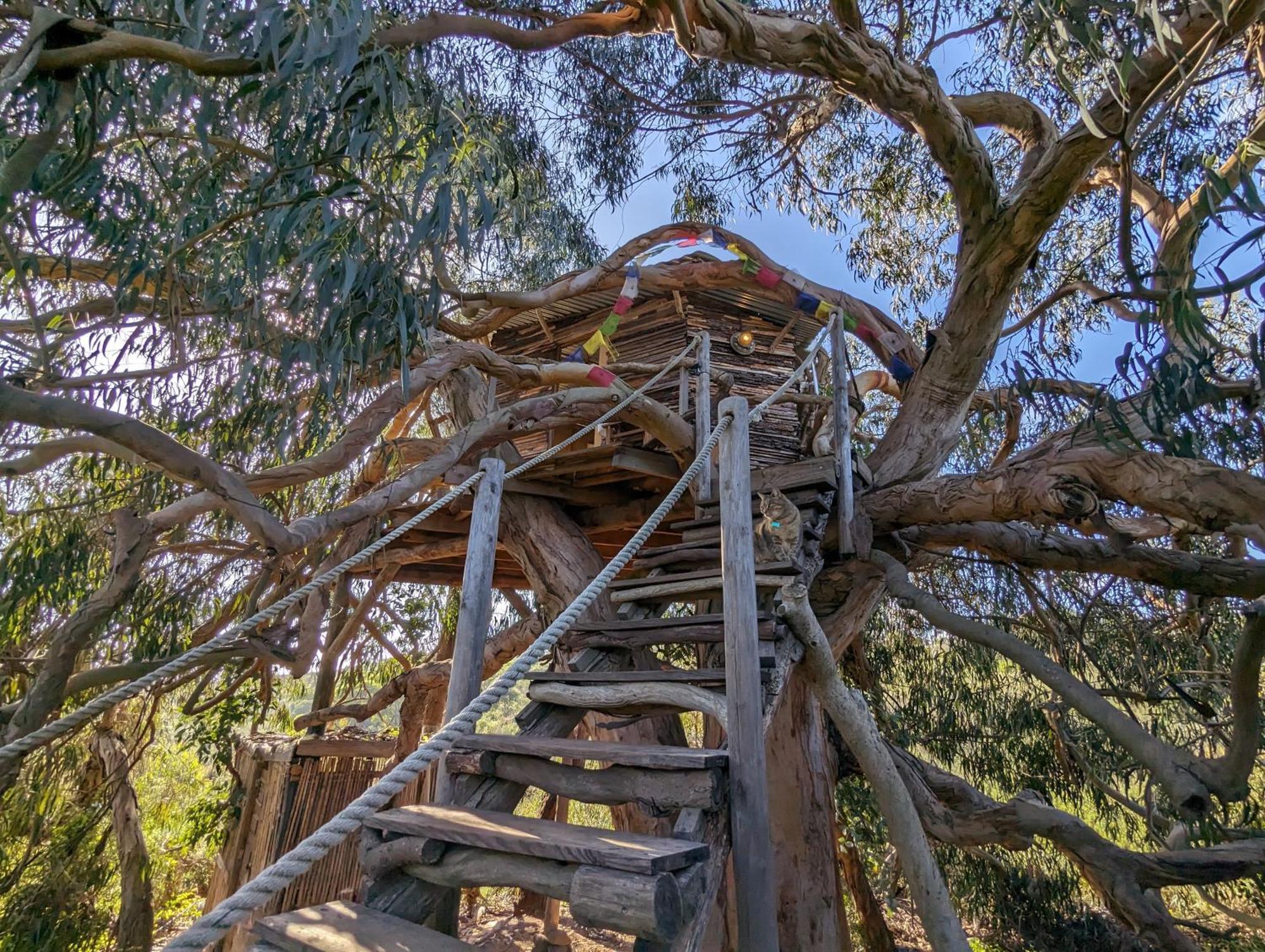 Luxury tent Magical Treehouse