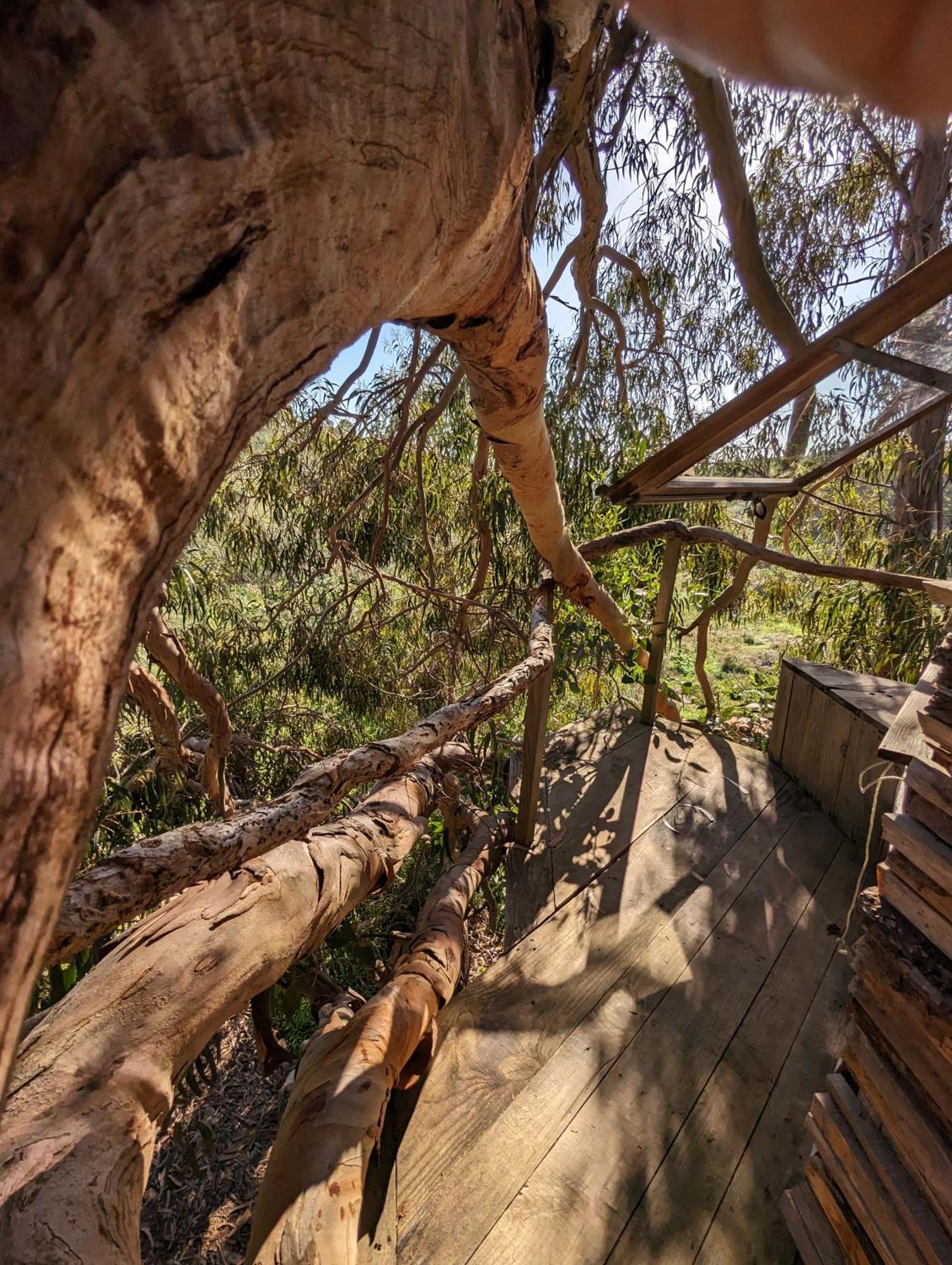 Luxury tent Magical Treehouse *