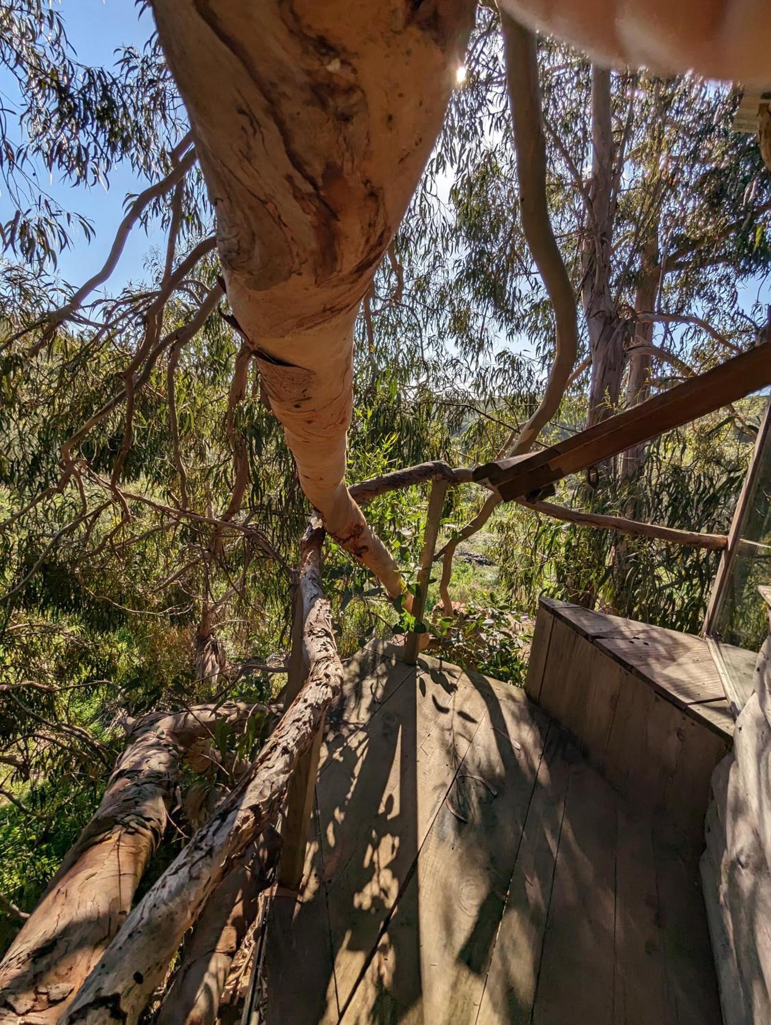 Magical Treehouse * Lagos