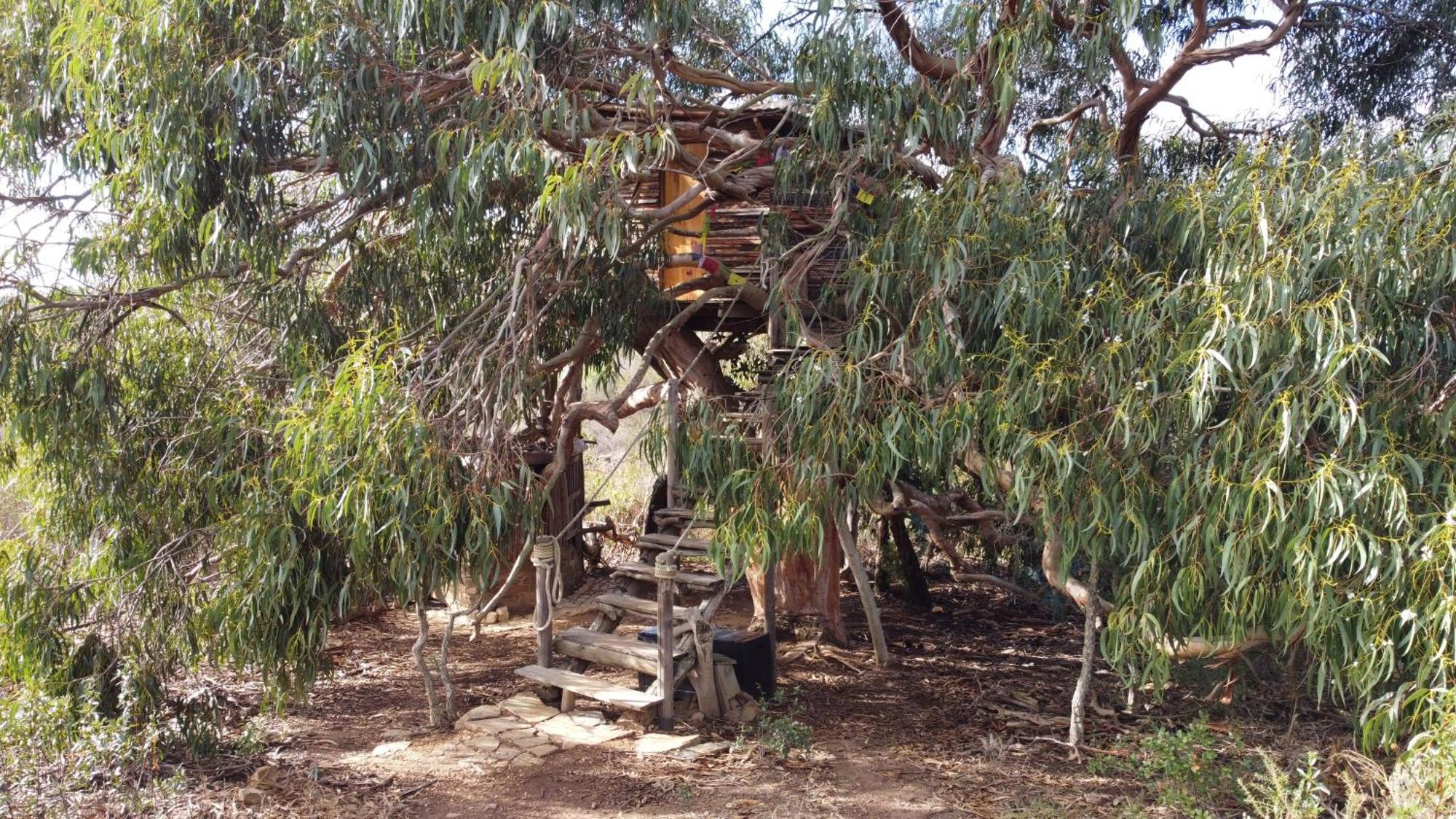 Luxury tent Magical Treehouse