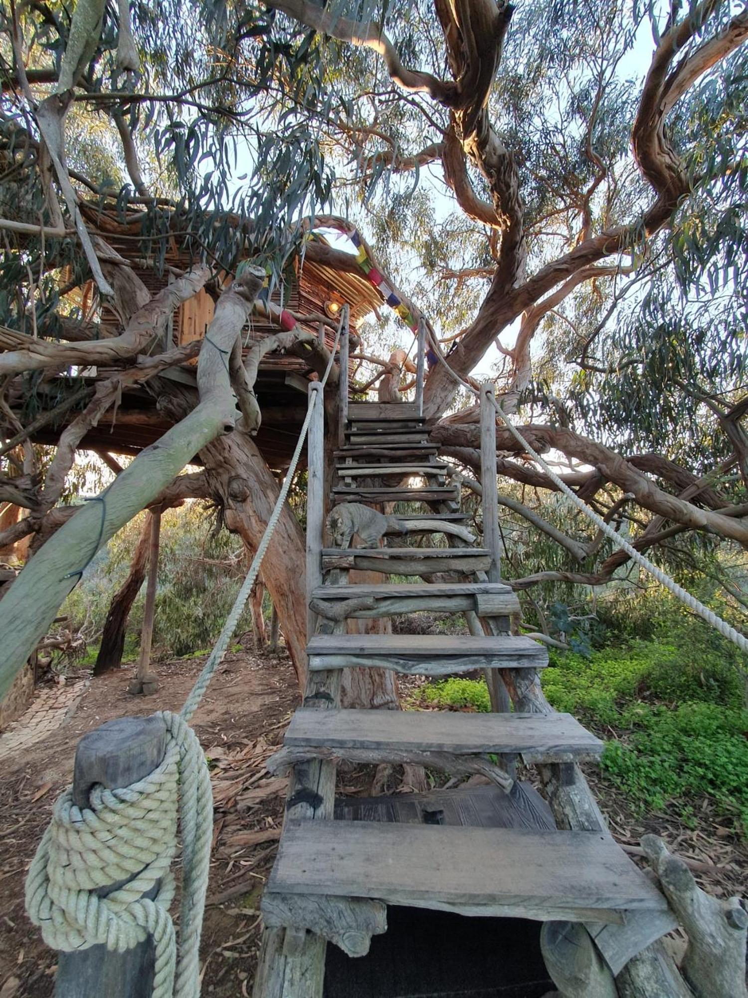 Luxury tent Magical Treehouse