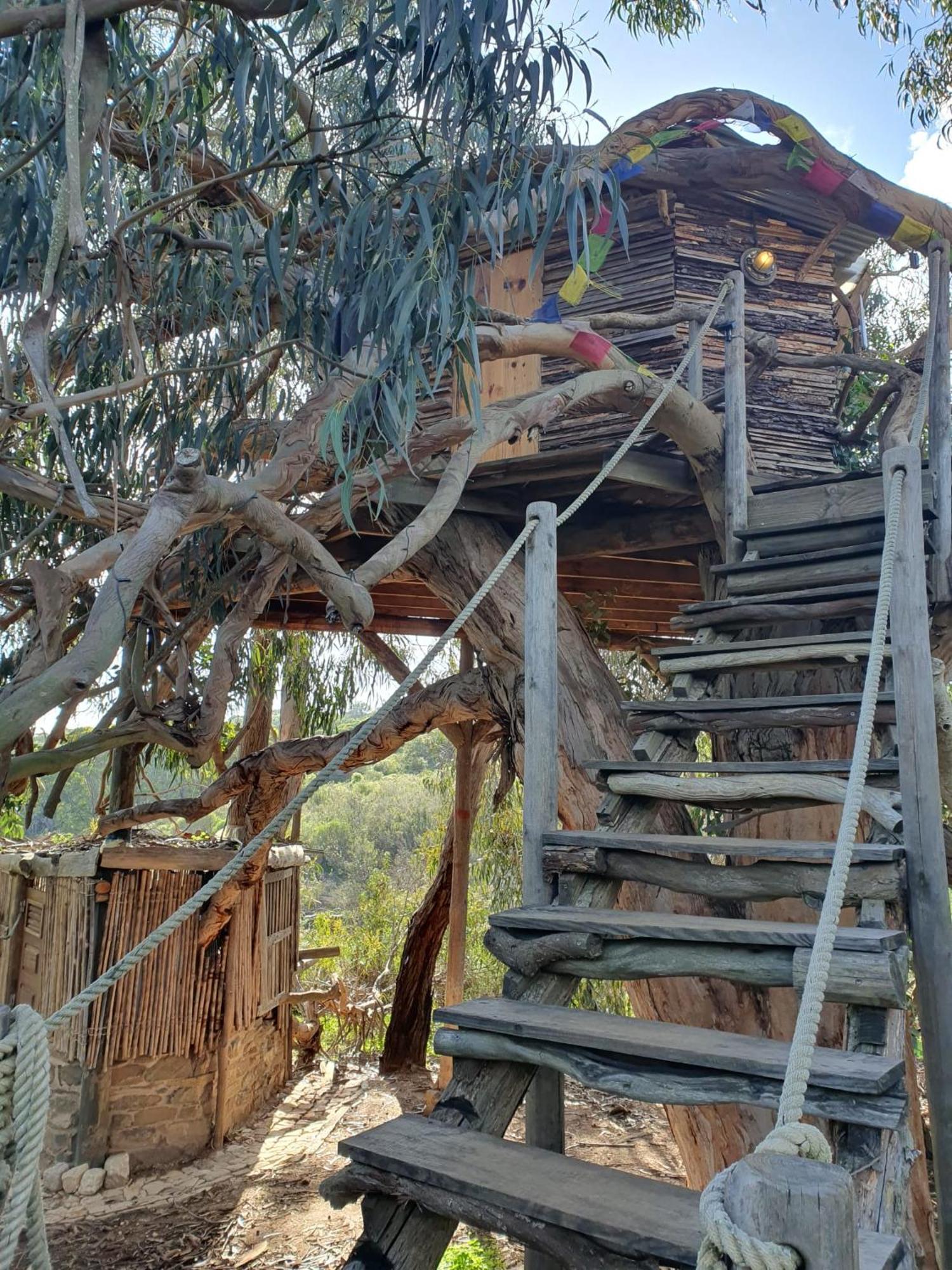 Magical Treehouse