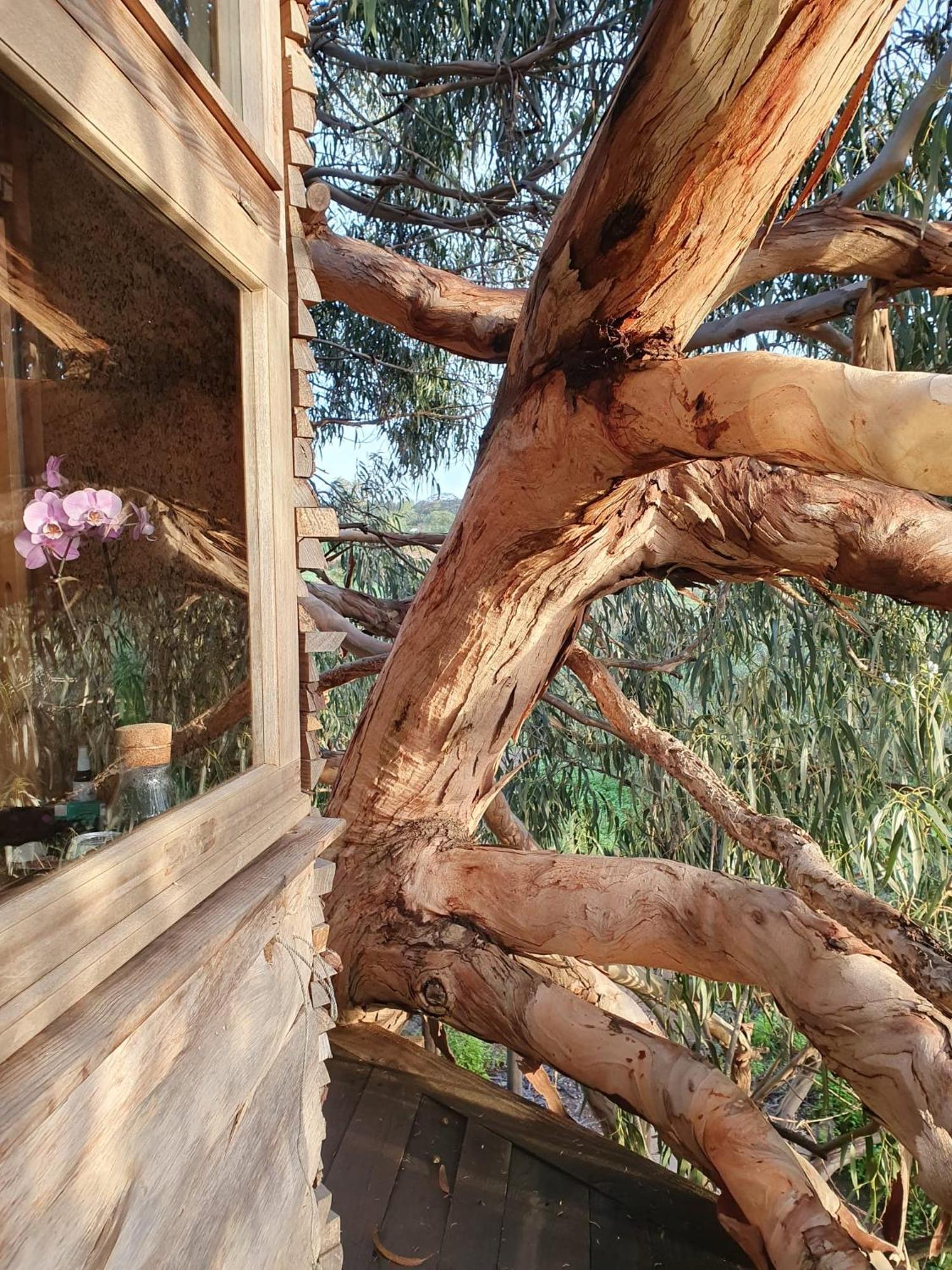 Magical Treehouse Luxury tent