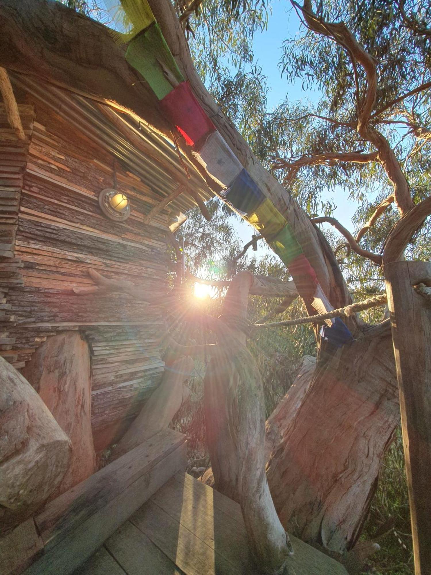 Magical Treehouse Luxury tent *