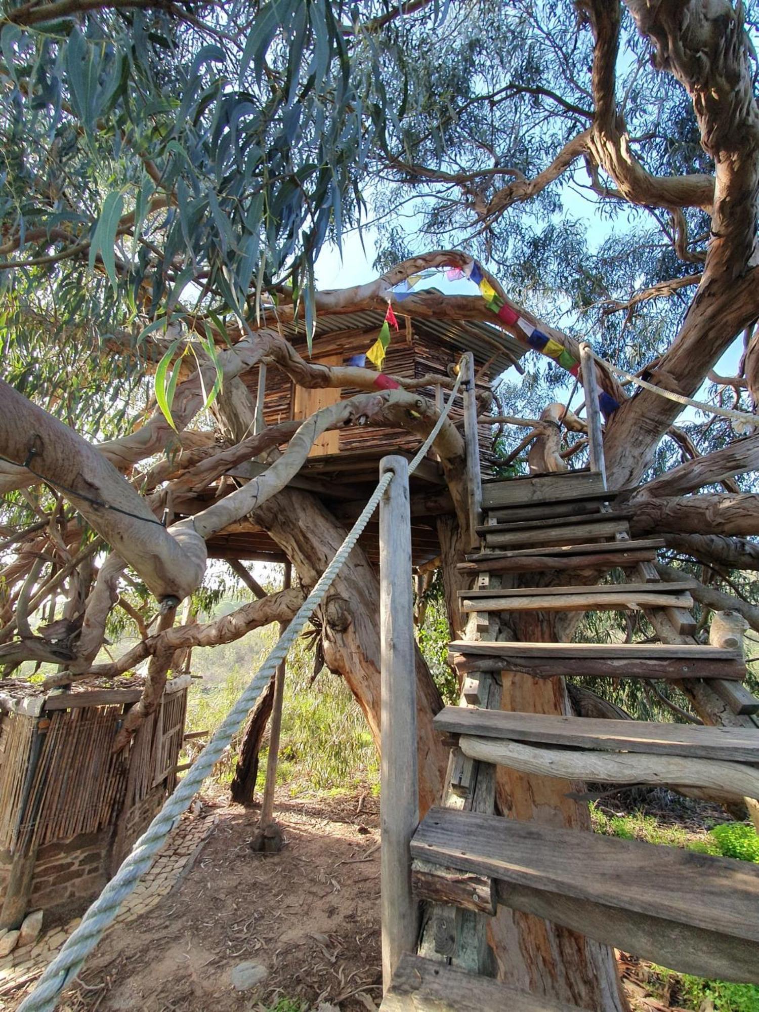 Luxury tent Magical Treehouse Lagos